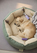 Velvet Nose Calming Bed