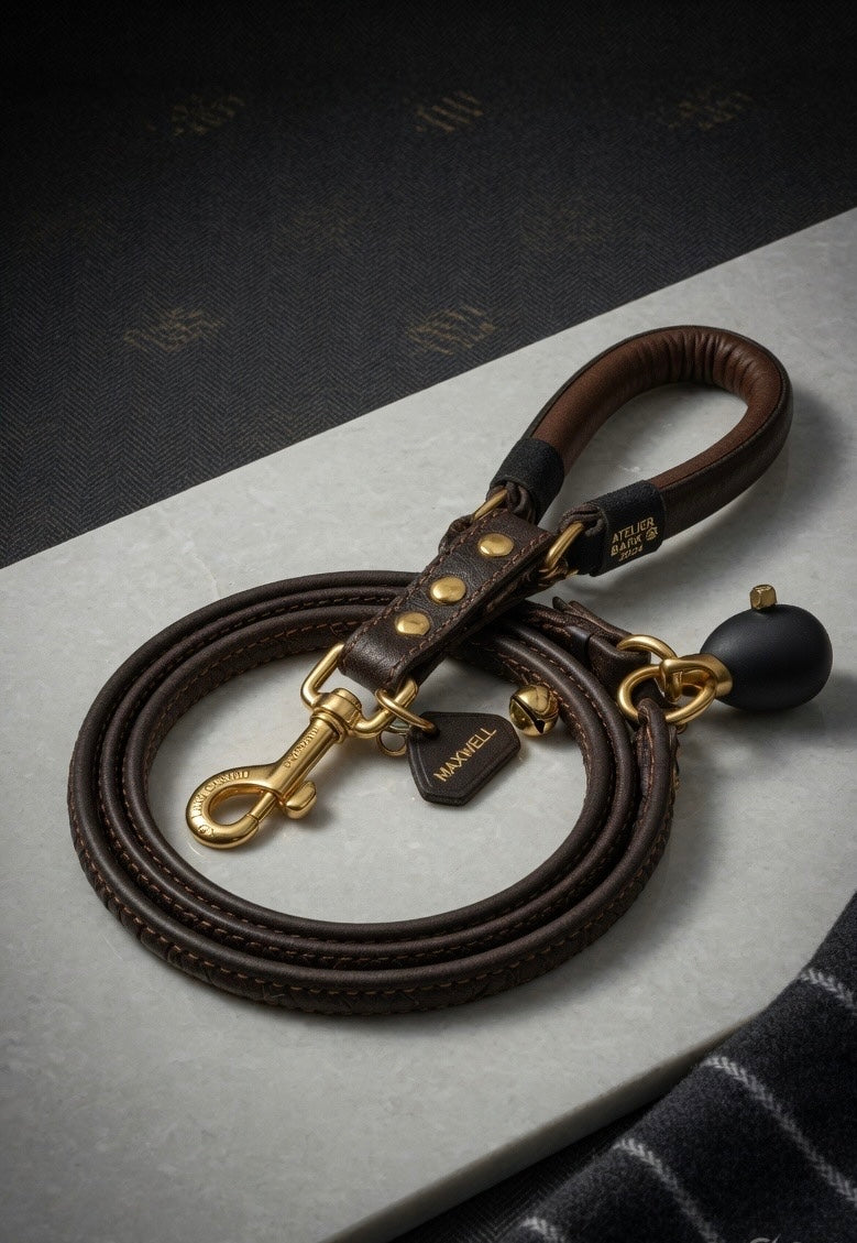 Velvet Nose Premium Leash Set