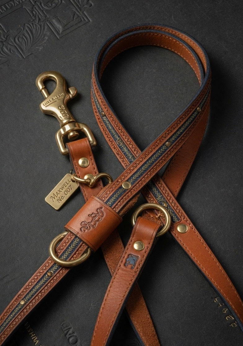 Velvet Nose Premium Leash Set